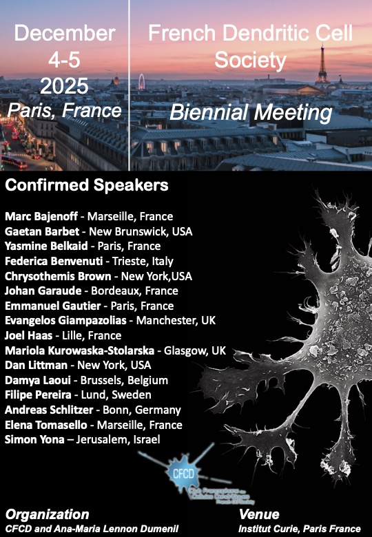 ../upload_images/1746456257-flyer-meeting-2025.jpg